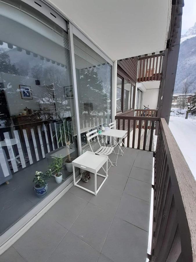 Studio Quartier Calme Centre Ville Vue Mont Blanc シャモニー エクステリア 写真