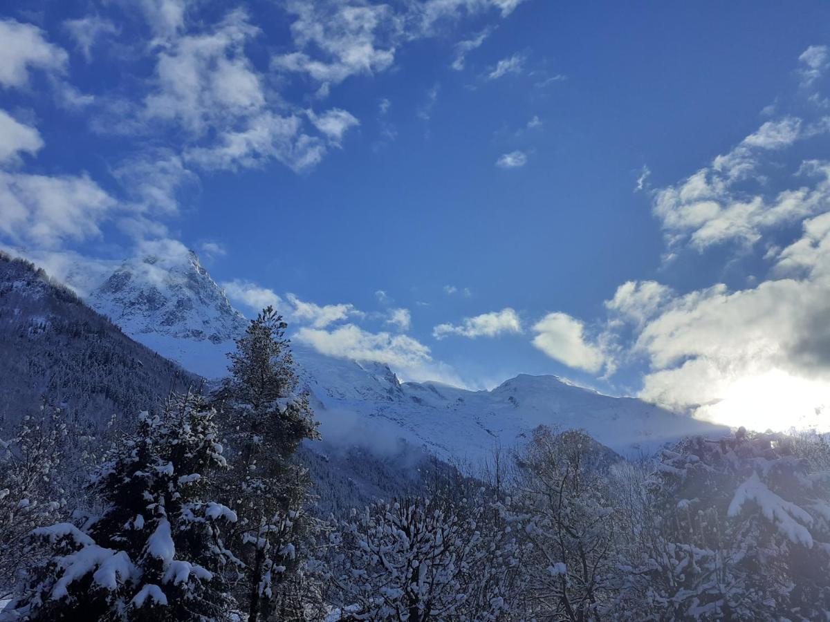Studio Quartier Calme Centre Ville Vue Mont Blanc シャモニー エクステリア 写真